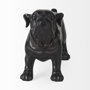 57799 - Hugo 5L x 13W Black Resin Bulldog