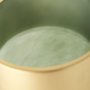 69552 - Minty Medium 8.7L x 8.7W x 12.4H Green Glass Vase W/Matte Gold Metal Neck Cuff