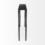 69257 - Timothy  48.0 X 8.0 X 30.0 Ebony Black Iron Console Table