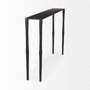 69257 - Timothy  48.0 X 8.0 X 30.0 Ebony Black Iron Console Table