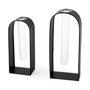 69558 - Boyer 5.1L x 3.0W x 12.0H Black Metal W/Glass Set of Two Test Tube Decorative Objects 