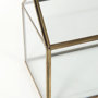 68827 - Hutt 16L x 6W x 9H Gold Glass Terrarium Box