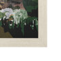 14002 - Colorado Go USA (L) by Mercana Studio a Hand Embellished Decograph Framed Art Print