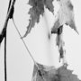 13266 - Hanging by Rebecca Cozart a Hand Embellished Textured Framed Art Print Matted under Glass