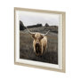 13416 - Bernie by Assaf Frank a Framed Photo Art Print Matted under Glass