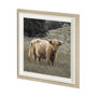 13417 - Humphry by Assaf Frank a Framed Photo Art Print Matted under Glass
