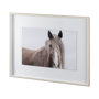 11353 - Wild Mane by Mercana Studio a Framed Photo Art Print Matted under Glass