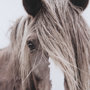 11353 - Wild Mane by Mercana Studio a Framed Photo Art Print Matted under Glass
