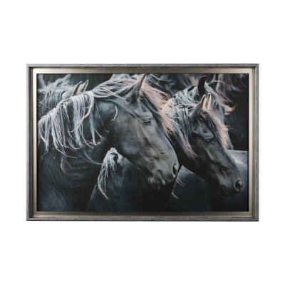 13929 - Majestic Admiration by Mercana Studio a Framed Photo Art Print Matted under Glass