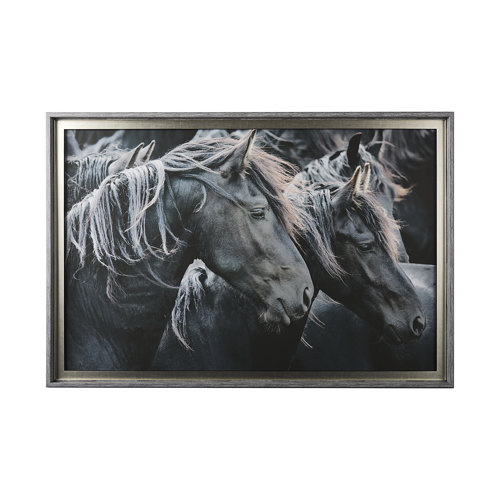 13929 - Majestic Admiration by Mercana Studio a Framed Photo Art Print Matted under Glass
