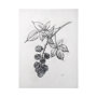 102012-L - Wildberry Collection Blackberry by Ariana a Hand Embellished Textured Canvas