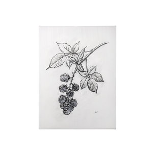 Wildberry Collection Blackberry by Ariana a Hand Embellished Textured Canvas
