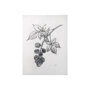 102012-S - Wildberry Collection Blackberry by Ariana a Hand Embellished Textured Canvas