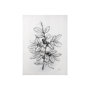 102013-S - Wildberry Collection Blueberry by Ariana a Hand Embellished Textured Canvas