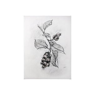 Wildberry Collection Saskatoonberry by Ariana a Hand Embellished Textured Canvas
