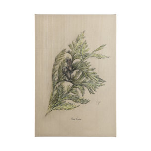 Evergreen collection III by Victoria a Hand Embellished Textured Canvas