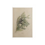 102046-S - Evergreen collection III by Victoria a Hand Embellished Textured Canvas