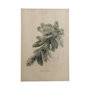 102047-L - Evergreen collection IV by Victoria a Hand Embellished Textured Canvas