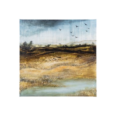 102070-S - Daily Fly Over by Julie Devine a Canvas Print