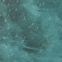 13927 - Hobie Sailing by Mercana Studio a Hand Embellished Textured Framed Photo Art Print Matted under Glas