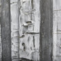 102069-L - Birch Trees by Studio M a Hand Embellished Gallery-Wrapped Canvas Print