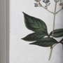 13967 - Soft Blue Botanoicals IV by Mercana Studio Hand Embellished Framed Art Print Matted under Glass