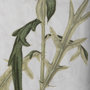 13969 - Soft Blue Botanoicals VI by Mercana Studio Hand Embellished Framed Art Print Matted under Glass