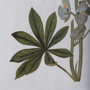 13971 - Soft Blue Botanoicals VIII by Mercana Studio Hand Embellished Framed Art Print Matted under Glass
