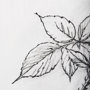 102012-L - Wildberry Collection Blackberry by Ariana a Hand Embellished Textured Canvas