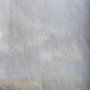 102028-L - Country Skunk by Mercana Studio a Hand Embellished Textured Canvas