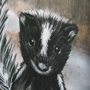 102028-S - Country Skunk by Mercana Studio a Hand Embellished Textured Canvas