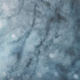 102030-S - Winter Racoon by Mercana Studio a Hand Embellished Textured Canvas