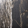 102032-L - Forest II by Natali a Hand Embellished Textured Canvas