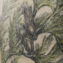 102046-S - Evergreen collection III by Victoria a Hand Embellished Textured Canvas