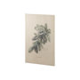 102047-S - Evergreen collection IV by Victoria a Hand Embellished Textured Canvas
