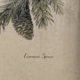 102047-S - Evergreen collection IV by Victoria a Hand Embellished Textured Canvas
