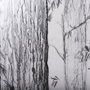 102050-S - Forest BW I by Ariana a Hand Embellished Textured Canvas