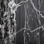 102051-L - Forest BW II by Ariana a Hand Embellished Textured Canvas