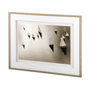 9721 - Broads Regatta, Island Yachts by Ben Wood Hand Embelished Framed Photo Art Print Matted under Glass