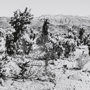 13337 - Road Trip III by Elizabeth Urquhart a Framed Photo Art Print Matted under Glass