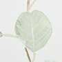 13368 - Soft Eucalyptus Branch IV by Emma Scarvey Hand Embellished Framed Art Print Matted under Glass