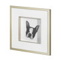 13375 - Floyd (Boston Terrier 1) by Mercana Studio Hand Embellished Framed Art Print Matted under Glass