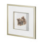 13376 - Frankie (Pomeranian 1) by Mercana Studio Hand Embellished Framed Art Print Matted under Glass