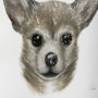 13378 - Charlote (Chihuahua) by Mercana Studio Hand Embellished Textured Framed Art Print Matted under Glass
