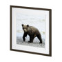 13403 - Curious Cub by Wink Gaines a Hand Embellished Textured Framed Art Photograph Matted under Glass