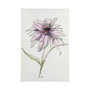 101884-L - Echinacea I by Mercana Studio a Hand Embellished Textured Canvas