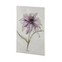 101884-L - Echinacea I by Mercana Studio a Hand Embellished Textured Canvas