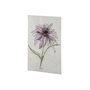 101884-S - Echinacea I by Mercana Studio a Hand Embellished Textured Canvas