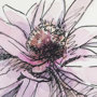 101884-S - Echinacea I by Mercana Studio a Hand Embellished Textured Canvas