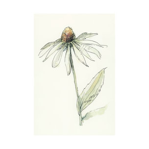 Echinacea II by Mercana Studio a Hand Embellished Textured Canvas